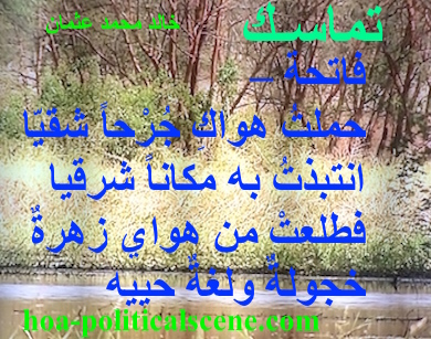 hoa-politicalscene.com - HOAs Political Poetry: from "Consistency", by poet and journalist Khalid Mohammed Osman on trees in the Sudanese Dinder and Rahad Reserve.