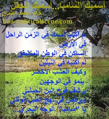 hoa-politicalscene.com - HOAs Sacred Poetry: from "I Call You Samba, I Call You a Field", by poet & journalist Khalid Mohammed Osman on a view from the Dinder and Rahad garden in Sudan.