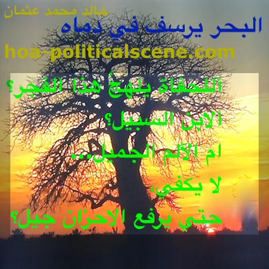 hoa-politicalscene.com - HOAs Sacred Poetry: from "The Sea Fetters in Its Blood", by poet & journalist Khalid Mohammed Osman on beautiful sunset with a huge tree bidding farewell to the sun.