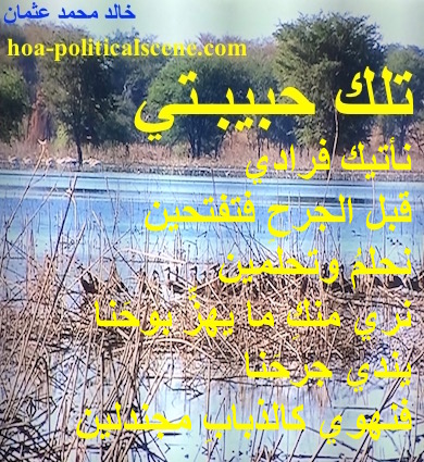 hoa-politicalscene.com - HOAs Sacred Poetry: from "That's My Love", by poet & journalist Khalid Mohammed Osman on on the rivers of Sudan Dinder and Rahad crossing a Sudanese natural reserve.