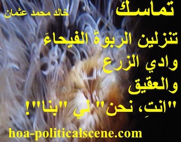 hoa-politicalscene.com - HOAs Sacred Scripture: from "Consistency", by poet & journalist Khalid Mohammed Osman on corals shaping underwater into beautiful coral reefs.