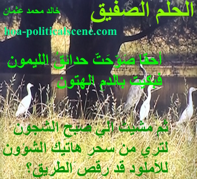 hoa-politicalscene.com - HOAs Sacred Scripture: from "Cheeky Dream", by poet & journalist Khalid Mohammed Osman on bird species in the Dinder and Rahad garden, Sudan.