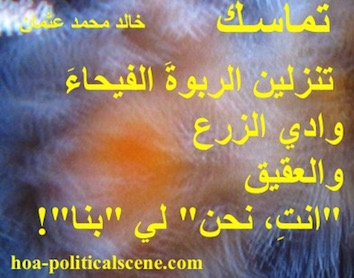 hoa-politicalscene.com - HOAs Sacred Scripture: from "Consistency", by poet & journalist Khalid Mohammed Osman on coral reefs underwater shaping like an egg with its yolk surrounded by albumen.