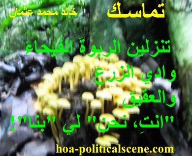 hoa-politicalscene.com - HOAs Sacred Scripture: from "Consistency", by poet & journalist Khalid Mohammed Osman on plant species.