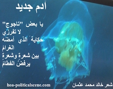 hoa-politicalscene.com - HOAs Sacred Scripture: from "New Adam", by poet & journalist Khalid Mohammed Osman on underwater species.