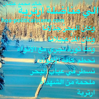 hoa-politicalscene.com - HOAs Scripture: from "For Eritrean Woman Fighter", by poet & journalist Khalid Mohammed Osman on the beautiful sea breaking at the coast.
