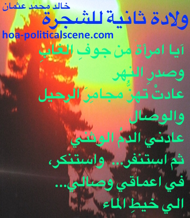 hoa-politicalscene.com - HOAs Scripture: from "Second Birth of the Tree", by poet & journalist Khalid Mohammed Osman on beautiful sunset over trees.
