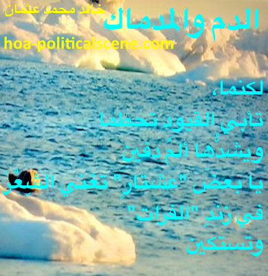hoa-politicalscene.com - HOAs Scripture: from "The Blood and the Course", for Baghdad, by poet & journalist Khalid Mohammed Osman on a gulf with ice around the water.