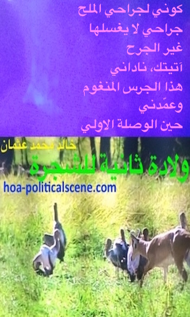 hoa-politicalscene.com - HOAs Scripture: from "Second Birth of the Tree", by poet & journalist Khalid Mohammed Osman on bird and deer species in the Dinder and Rahad garden, Sudan.