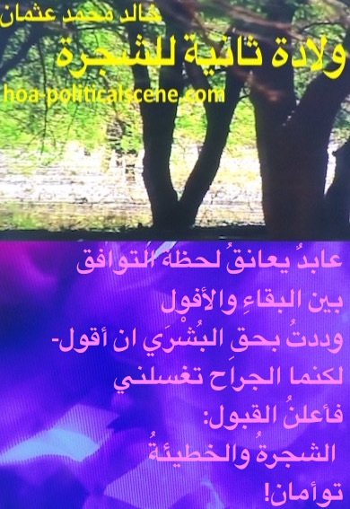 hoa-politicalscene.com - HOAs Scripturee: from "Second Birth of the Tree", by poet & journalist Khalid Mohammed Osman on trees in the Dinder and Rahad garden, Sudan.