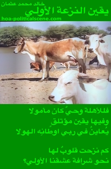 hoa-politicalscene.com - HOAs Verse: from "Certainty of First Tendency", by poet & journalist Khalid Mohammed Osman on eastern Sudan cows drinking fresh water from the Dinder river.