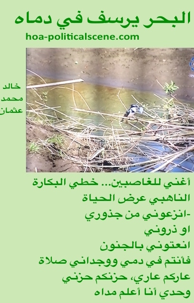 hoa-politicalscene.com - HOAs Verse: from "The Sea Fetters in Its Blood", by poet & journalist Khalid Mohammed Osman on singing bird like a nightingale in the Dinder and Rahad forest in Sudan.