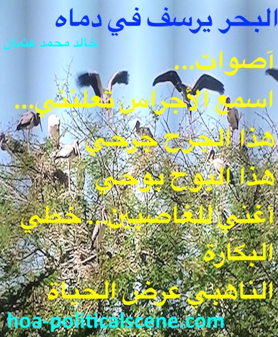 hoa-politicalscene.com - HOAs Verse: from "The Sea Fetters in Its Blood", by poet & journalist Khalid Mohammed Osman on bird species and plant species in the Dinder and Rahad forest, Sudan.