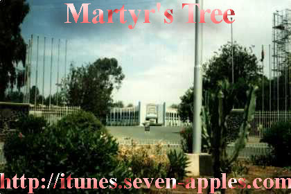 Martyr's Tree at the Entrance of the Expo in Asmara