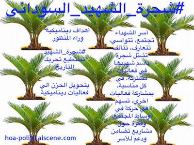 Invitation to Comment: Sudanese Martyr’s Project 2