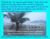 hoa-politicalscene.com/invitation-to-comment171.html - Invitation to Comments 171: Ý tưởng năng động: Tổ chức các cơ quan địa phương và kết nối với các cơ quan quốc tế để dẫn đầu 