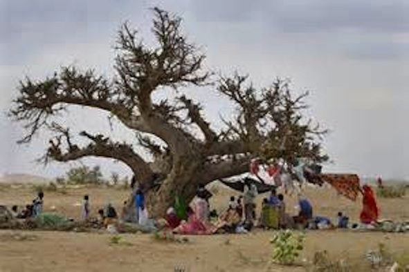 Under the Baobab Tank of Water in Darfur, Sudan.