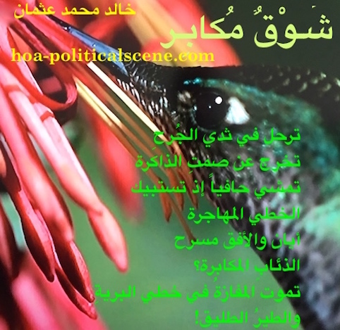 hoa-politicalscene.com/arabic-hoa.html - Arabic HOA: Poetry scripture from Arrogant Yearning by poet and journalist Khalid Mohammed Osman on beautiful bird sucking flowers nectar.