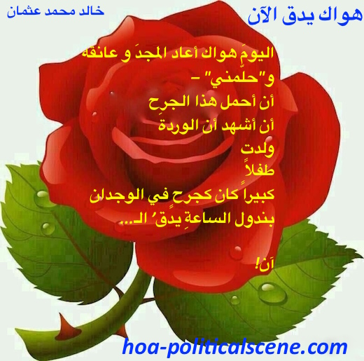 hoa-politicalscene.com/arabic-hoa.html - Arabic HOA: Snippet of poetry from "Your Love is Beating Now" by poet and journalist Khalid Mohammed Osman on a beautiful rose.