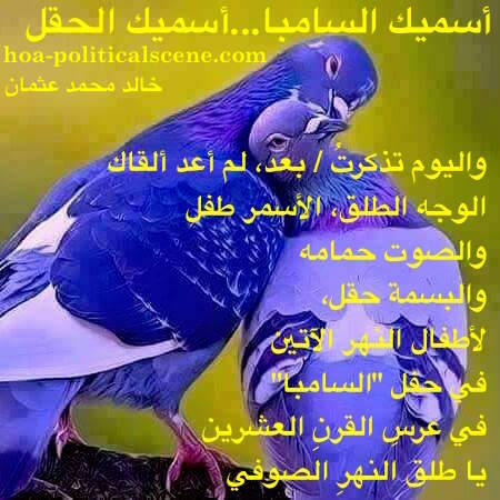 hoa-politicalscene.com/arabic-poetry.html - Arabic Poetry: Snippet of poetry from "I Call You Samba, I Call You A Field" by poet and journalist Khalid Mohammed Osman on pair of beautiful doves.