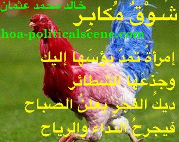 hoa-politicalscene.com/arabic-poetry-posters.html - Arabic Poetry Posters: Snippet of poetry from "Arrogant Yearning" by poet and journalist Khalid Mohammed Osman on beautiful hen without a cock.
