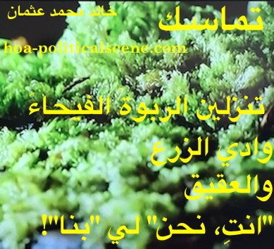 hoa-politicalscene.com/arabic-poetry-posters.html - Arabic Poetry Posters: Snippet of poetry from "Consistency" by poet and journalist Khalid Mohammed Osman on green valley.