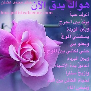 hoa-politicalscene.com/arabic-poetry-posters.html - Arabic Poetry Posters: Snippet of poetry from "Your Love is Beating Now" by poet and journalist Khalid Mohammed Osman on beautiful flower.