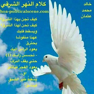 hoa-politicalscene.com/arabic-poetry.html - Arabic Poetry: Snippet of poetry from "Speech of the Eastern River" by poet and journalist Khalid Mohammed Osman on beautiful white bird.