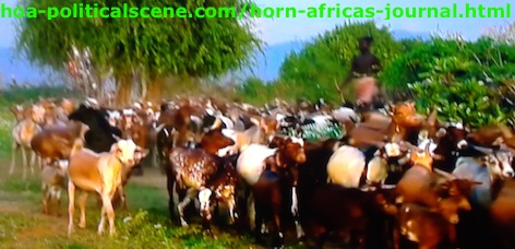 Horn of Africa's Journal: Customs of Herders in East Africa