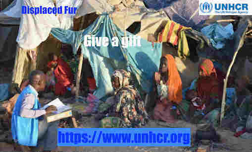hoa-politicalscene.com/displaced-persons.html - Displaced Persons: Sudan, Darfur.