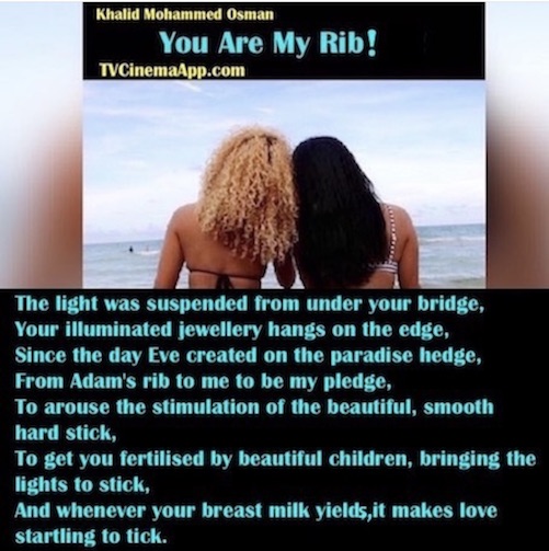 hoa-politicalscene.com/english-poetry.html - English Poetry: How to Be Motivated by Poetry to Write Poetry? You are My Rib by veteran activist, journalist and poet Khalid Mohammed Osman.