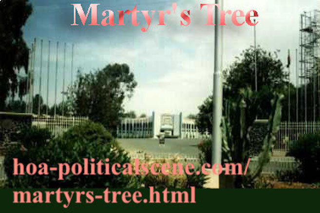 Eritrean Martyr's Tree at the Asmara Expo Gate done in one of the environmental activities of veteran activist and journalist Khalid Mohammed Osman.