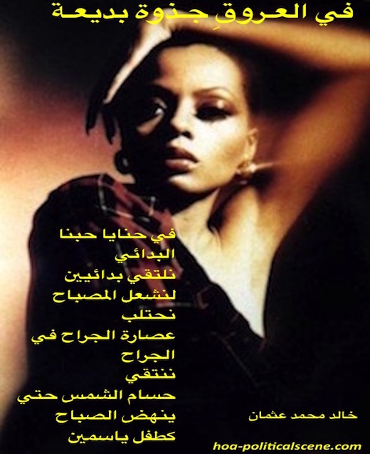 hoa-politicalscene.com/hoas-arabic-literature.html - HOAs Arabic Literature: "Exquisite Flame in the Veins" by poet Khalid Mohammed Osman on Diana Ross.