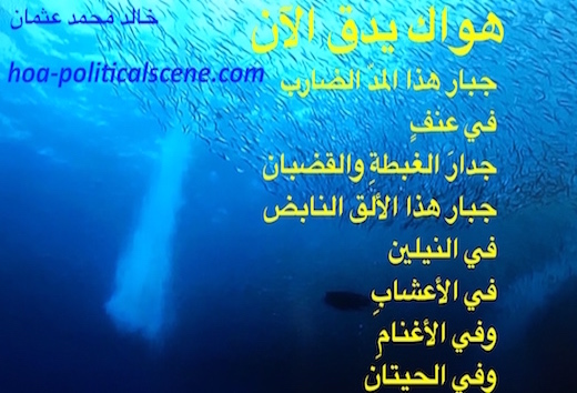 Your Love is Beating Now by poet & journalist Khalid Mohammed Osman on fish species and underwater world.