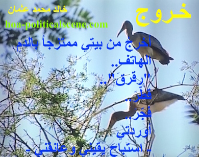 hoa-politicalscene.com - HOA Calls: Couplet of political poetry from "Exodus", by #poet and #journalist #Khalid #Mohammed #Osman on the Sudanese Dinder and Rahad reserve.