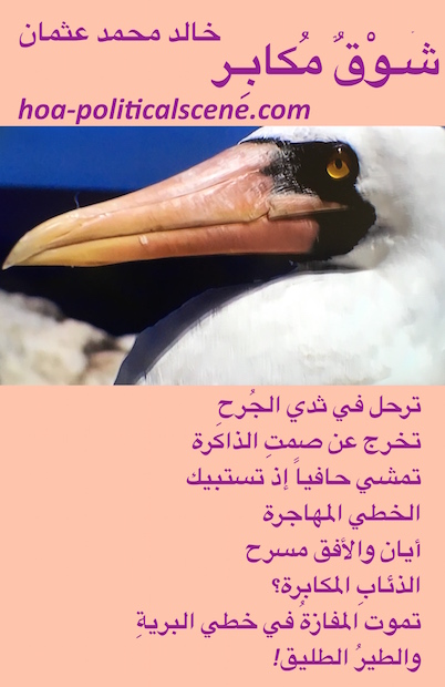 hoa-politicalscene.com/comment-c2-entries.html - Comment C2 Entries: Poem scripture from "Arrogant Yearning" by poet and journalist Khalid Mohammed Osman on beautiful bird.