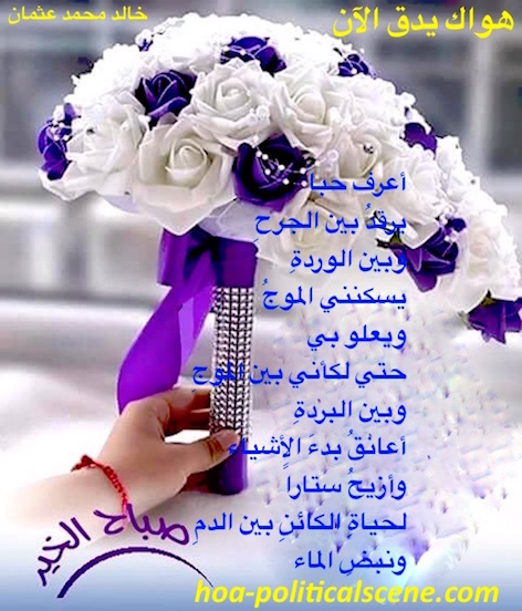 Your Love is Beating Now by poet & journalist Khalid Mohammed Osman on beautiful bouquet of flowers.