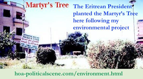 hoa-politicalscene.com/martyrs-tree.html - Martyr’s Tree on Nyala Hotel's square in Asmara. The Eritrean president responded to Khalid Mohammed Osman's environmental campaign by inaugurating events.