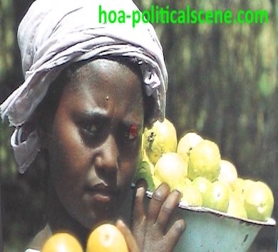 hoa-politicalscene.com/child-labor.html - Child Labor: A child girl selling fruits on Eritrean streets, pictured by a tourism bureau, to my surprise. It's posted also at Eritrean Political Scene.