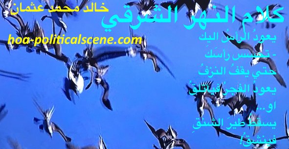 hoa-politicalscene.com/hoa.html - HOA Index: Couplet of poetry from "Speech of the Eastern River" by poet and journalist Khalid Mohammed Osman on beautiful birds.
