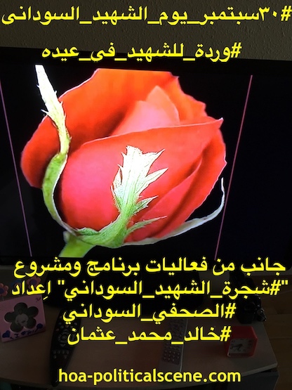 hoa-politicalscene.com/sudanese-martyrs-tree-posters.html - Sudanese Martyr's Tree Posters: A rose for the martyrs on his feast day, idea by Sudanese journalist Khalid Mohammed Osman.