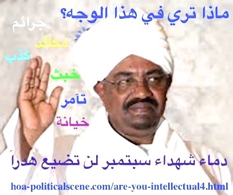 hoa-politicalscene.com/sudanese-political-scene.html - Sudanese campaigns to fight the captive of the international justice, Omar al Bashir of Sudan.