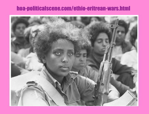 hoa-politicalscene.com/ethio-eritrean-wars.html - Ethio-Eritrean Wars: The Ethiopian -Eritrean Third War 1966 should come to an end, brothers and sisters. You are all blood relations.