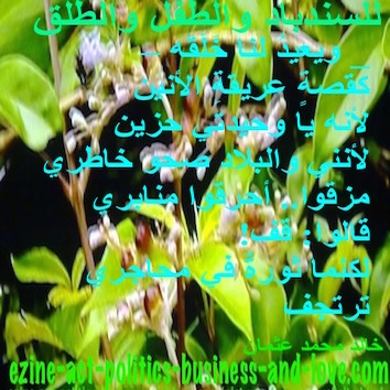 hoa-politicalscene.com - HOAs Animation Gallery: Couplet of political poetry from "For Sinbad, the Child and Parturition", by poet and journalist Khalid Mohammed Osman on plants.