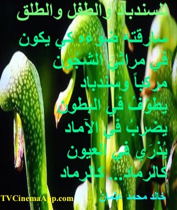 hoa-politicalscene.com - HOAs Animation Gallery: Couplet of political poetry from "For Sinbad, the Child and Parturition", by poet and journalist Khalid Mohammed Osman on water plants.