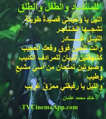 hoa-politicalscene.com - HOAs Animation Gallery: Couplet of political poetry from "For Sinbad, the Child and Parturition", by poet and journalist Khalid Mohammed Osman on picture of greenery.