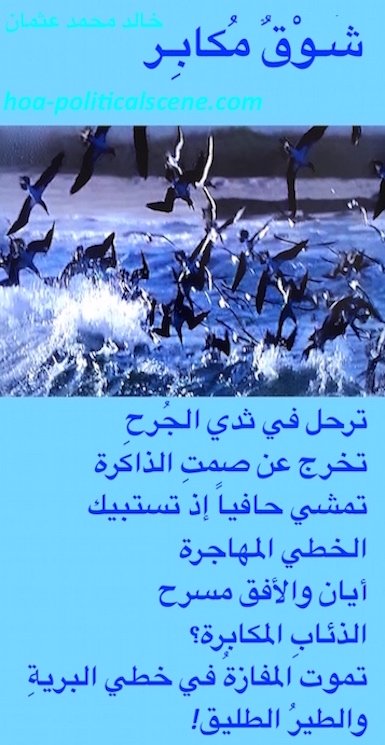 hoa-politicalscene.com/hoas-arabic-poetry.html - HOAs Arabic Poetry: Snippet of poetry from "Arrogant Yearning" by poet & journalist Khalid Mohamed Osman on sea birds fishing.