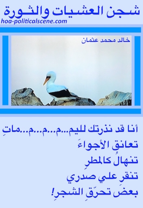 hoa-politicalscene.com/hoas-arabic-poetry.html - HOAs Arabic Poetry: Poetry snippet from "Evening Yearning & Revolution" by poet & journalist Khalid Mohamed Osman on bird species.
