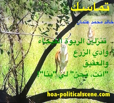 hoa-politicalscene.com - HOAs Design Gallery: Couplet of political poetry from "Consistency", by poet and journalist Khalid Mohammed Osman on deers and greenery in Dinder and Rahad garden, Sudan.
