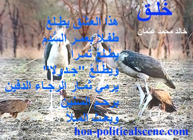 hoa-politicalscene.com - HOAs Design Gallery: Poetry from "Creation", by poet & journalist Khalid Osman on heron bird species in the Dinder & Rahad Natural Reserve, Sudan.
